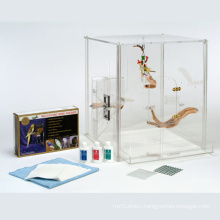 Customized Clear Acrylic Boxes for Pets Animals